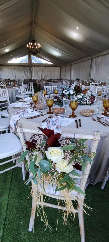 IMG_20231021_131008-464x1030