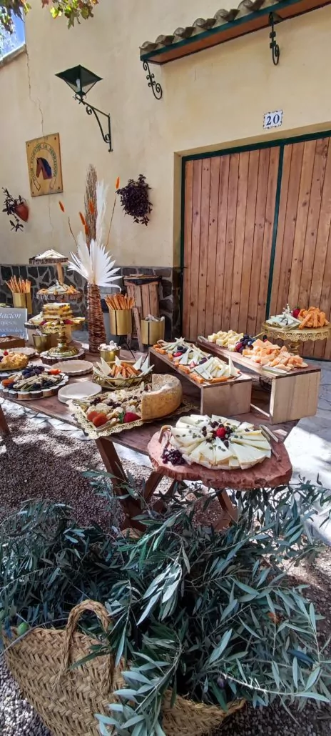 IMG_20231021_134947-464x1030