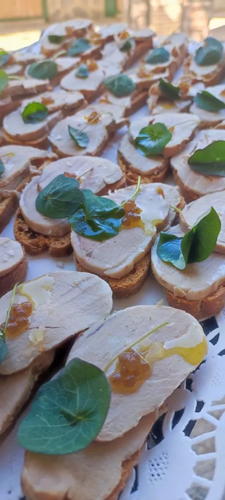 IMG_20231021_152839-464x1030